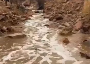 Gurun Madinah Mendadak Dialiri Air Usai Hujan Deras 3 Hari
