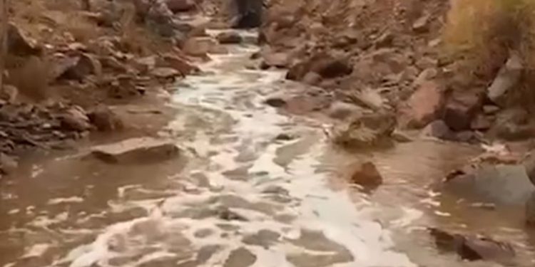 Gurun Madinah Mendadak Dialiri Air Usai Hujan Deras 3 Hari
